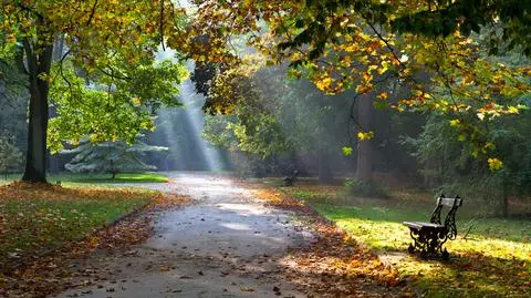 Prognoza pogody na niedzielę: niedziela ze słońcem i bez parasoli