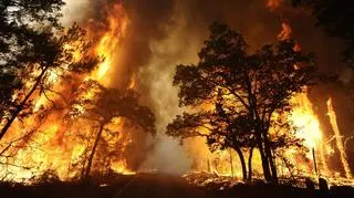 Dym widać z odległości wielu kilometrów