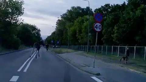Poranny spacer niezdecydowanego łosia