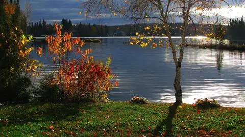 W prawie całej Polsce niebo spowiją chmury