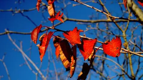 Wtorek: dużo słońca i ciepło