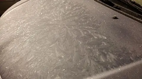 Aktualnie czytasz: Chwycił mróz, pojawił się szron. Temperatura spadła do -3 st. C