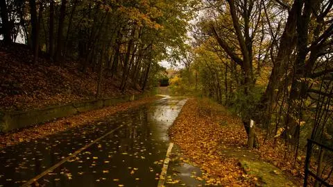 Miejscami na drogach utworzą się kałuże. Spadnie do 10 l/mkw. deszczu