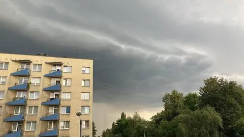 Aktualnie czytasz: Burzowe chmury i zalane ulice. Ponad 150 interwencji na Śląsku