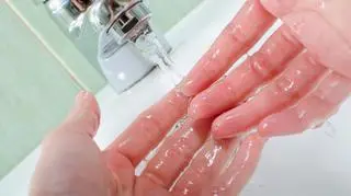 Naukoców zainteresowała ludzka skóra