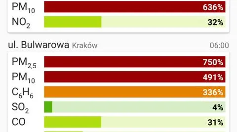 Aktualnie czytasz: "Trochę pyłu, trochę smogu, ale żyję, dzięki Bogu!"