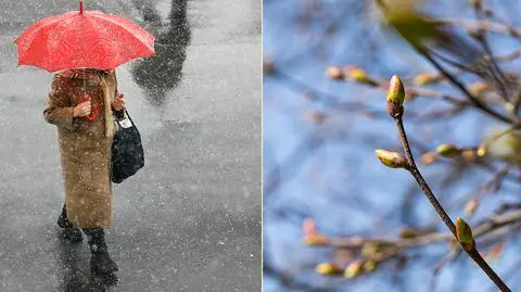 Zima spróbuje pokonać wiosnę