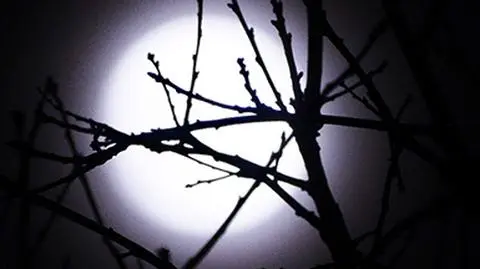 Świąteczna księżycowa pełnia na Waszych zdjęciach