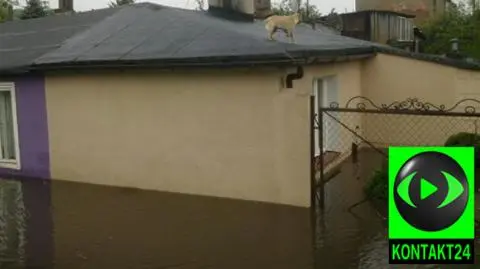 Przeszła ulewa, podtopiła Gdynię