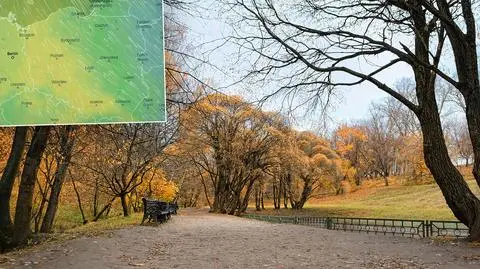 Pogoda na pięć dni: jeszcze chwila jesiennej słoty, później się rozpogodzi