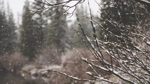 Na zachodzie popada deszcz ze śniegiem