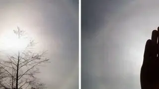 Poranne halo w Skrzelczycach na Kielecczyźnie