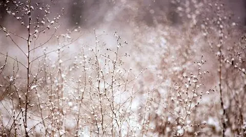 Prognoza pogody na dziś: wszędzie poprószy. Będzie też wiało