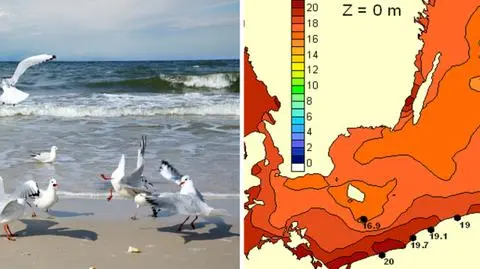 W Bałtyku się nie wykąpiemy