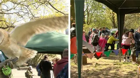 Wielkie Spotkanie Przyjaciół Lasu. Piknik i podziękowania od prezydenta