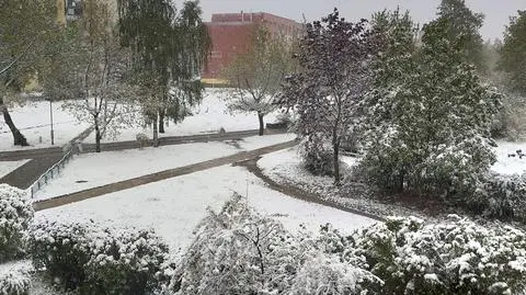 Aktualnie czytasz: Spadła temperatura, spadł też śnieg. "Zima w maju"