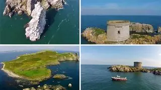 Wyspa Ireland's Eye to skalista ostoja wielu gatunków ptaków