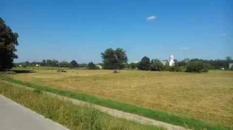 Zapowiada się słoneczny dzień