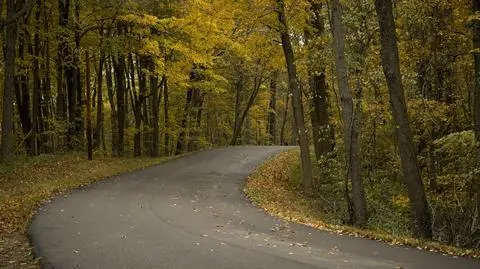 Kierowców czeka dobry dzień. Jezdnie będą suche