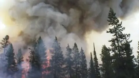 Pożary lasów tropikalnych potrajają stężenie ozonu na Pacyfiku