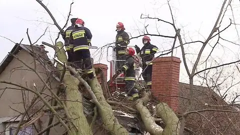 Usunięto szkody związane z wichurami. Ale to nie koniec silnego wiatru