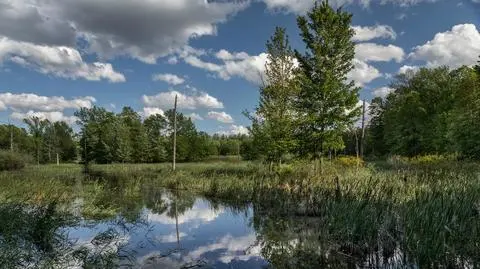 Słoneczna niedziela