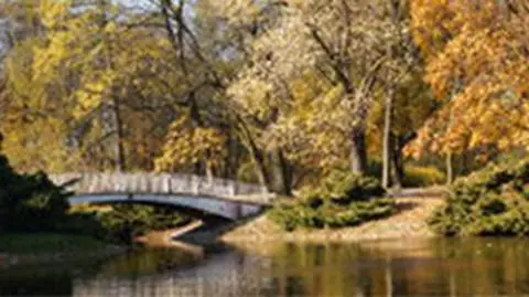 zniszczenia spowodowane halnym