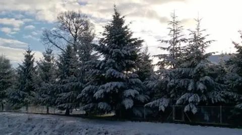 "Pięknie sypnęło". Powrót zimy na Waszych zdjęciach