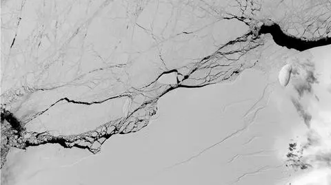 Od lodowca Larsena oderwała się wielka góra lodowa