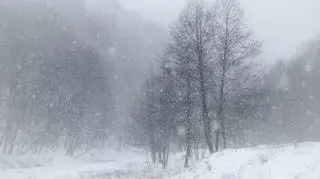 Śnieżyca może być bardzo niebezpieczna