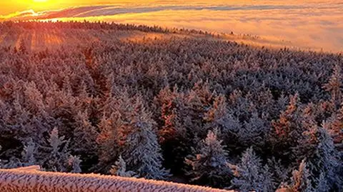 Wschód słońca z wieży widokowej