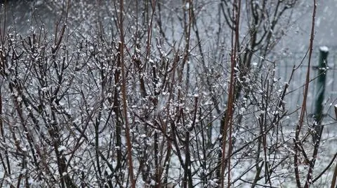 Miejscami spadnie śnieg