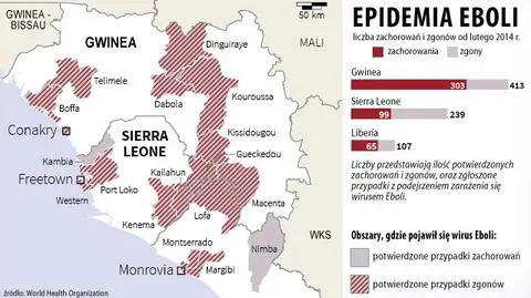 Ekspert o walce z epidemią: leki eksperymentalne zamiast "miłego pochówku" i mydła