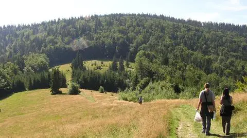 Ruszaj w góry