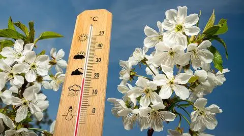 Na ciepłą pogodę możemy długo poczekać