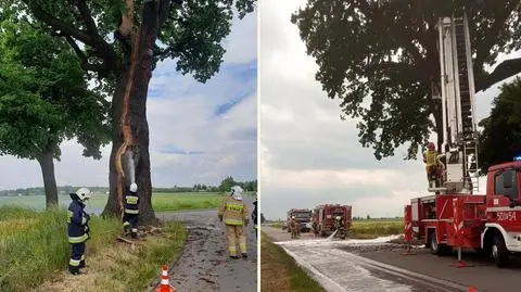 Piorun uderzył w 300-letni pomnik przyrody