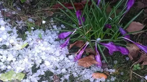 W prima aprilis Polskę zabielił grad