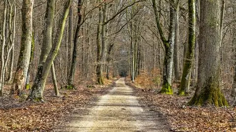 Dzień będzie przeważnie pogodny