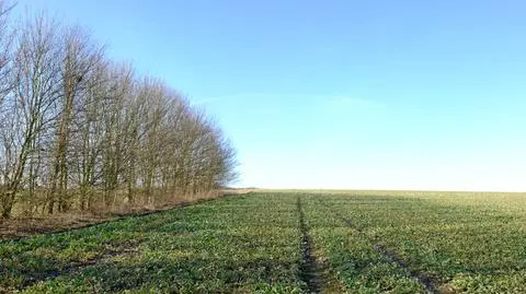 Wyż przynosi dobrą pogodę
