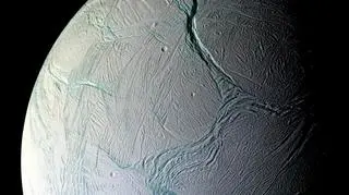 Powierzchnia Enceladusa - jednego z księżyców Saturna, na którym zachodzą siły pływowe
