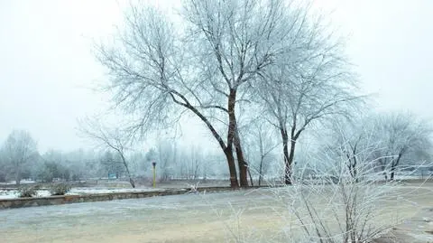 Popada deszcz ze śniegiem 
