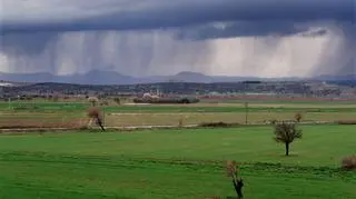 Deszcz jest potrzebny