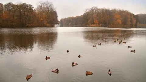 Słońce będzie próbowało przebić się przez chmury