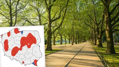 Wstępna prognoza pogody na wiosnę