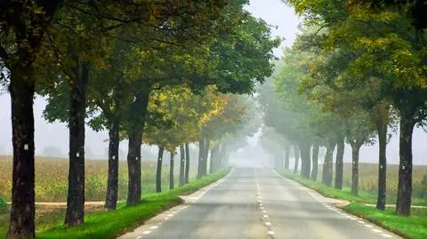 Rano pochmurne niebo, potem rozpogodzenia