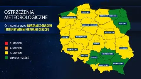 Polska w zasięgu burz i silnego deszczu