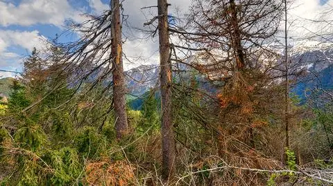 Prognoza pogody na dziś: bardzo duża różnica temperatury i porywisty wiatr