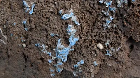 Plastikowy nalot na skałach, zwany plasticrust