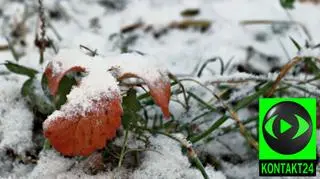 Przy gruncie może być -18 st. C