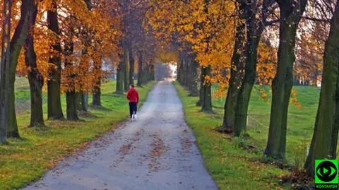 Prognoza pogody na dziś: w całym kraju pochmurno, ale padać nie powinno 